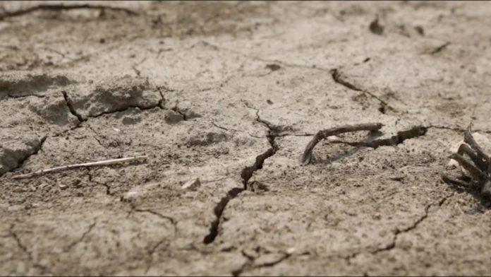 Posledice klimatskih promena