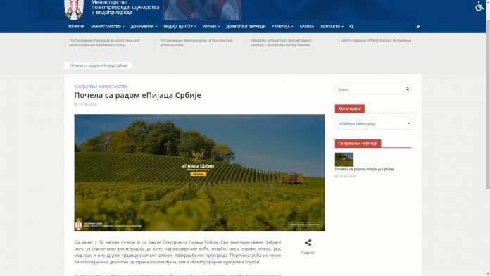 Elektronska pijaca
