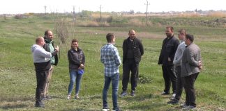 Koliko košta hektar plodne zemlje?