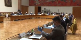 Korona ne napada političke stranke