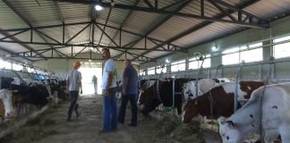 Poljoprivrednicima je na raspolaganju 2,6 milijarde dinara pomoći