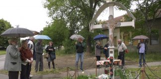 Svetski dan komšija u Ljubljanskoj ulici