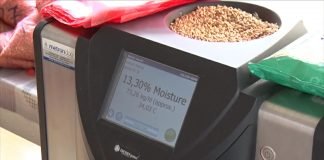 Asocijacija poljoprivrednika traži 22 dinara po kilogramu pšenice