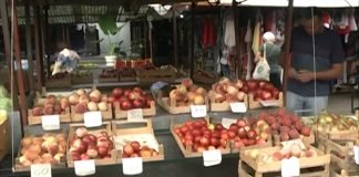Ove godine ćemo imati 6% manje voća nego prošle