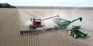 Državne robne rezerve trebalo bi da otkupe pšenicu po ceni od 20din/kg
