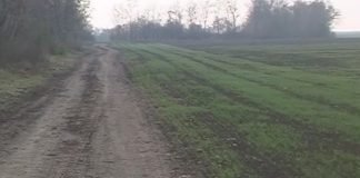Novi pravilnik za pretvaranje neobradivog zemljišta u obradivo