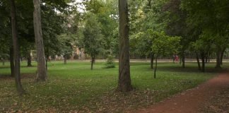 Lisice okupirale Šećeranski park