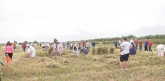 Održani „Žetelački dani“ u Mužlji po 37. put
