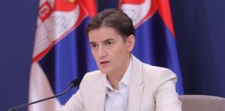 Ana Brnabić o broju respiratora u Srbiji