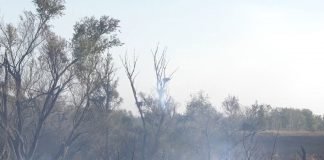 Pokrenuta je kampanja „Ne pali strnjiku“