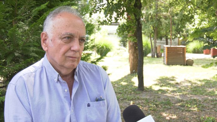 teodorovic