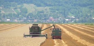 Kako do zakupa državnog poljoprivrednog zemljišta