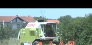 Bijeljina – Podnošenje zahteva za podsticaje u stočarstvu i živinarstvu