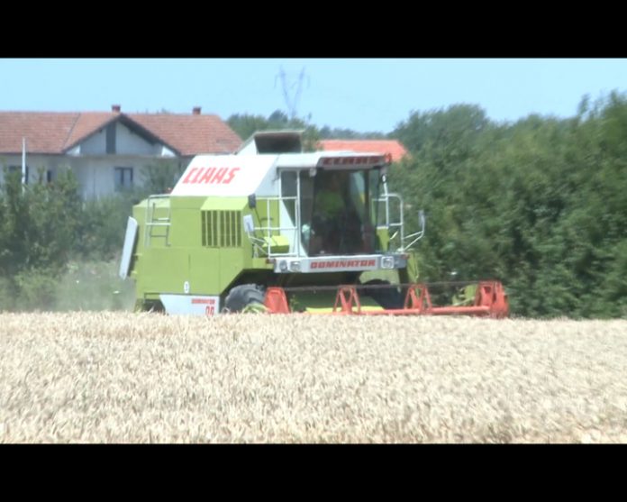 BIJELJINA PODSTICAJI RADINKA