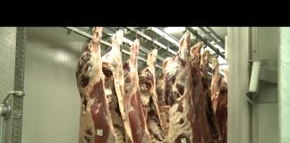 Bosna i Hercegovina: Uvozno meso sumnjivog kvaliteta