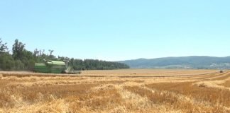 Razvojni fond AP Vojvodine – Dugoročni krediti za kupovinu poljoprivrednog zemljišta