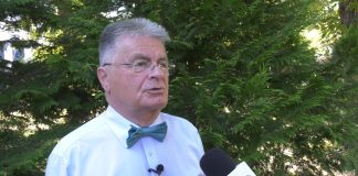 Dejan Lučić – Tačka o diverzifikaciji energetskog snabdevanja je štetna po Srbiju