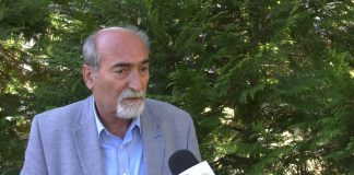 Milan Ćulibrk o slučaju Jelisavete Vasilić
