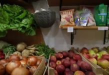 Najavljeno osnivanje baze za organsku proizvodnju