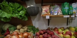 Najavljeno osnivanje baze za organsku proizvodnju