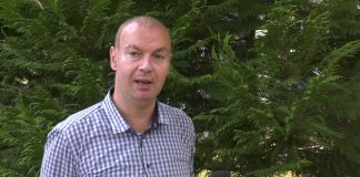 Dragan Petrović – Pravi pobednik izbora u Crnoj Gori je verujući narod