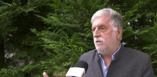 Petar Peca Popović o časopisu Džuboks