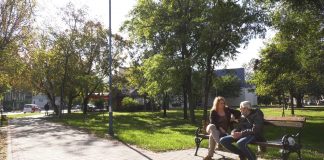 Vukoman Maksimović – Značaj ozelenjavanja prostora