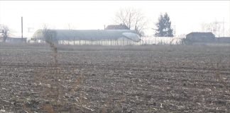 Nema sredstava za konkurse u poljoprivredi u Vojvodini