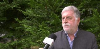 Petar Peca Popović o jugoslovenskoj rok sceni