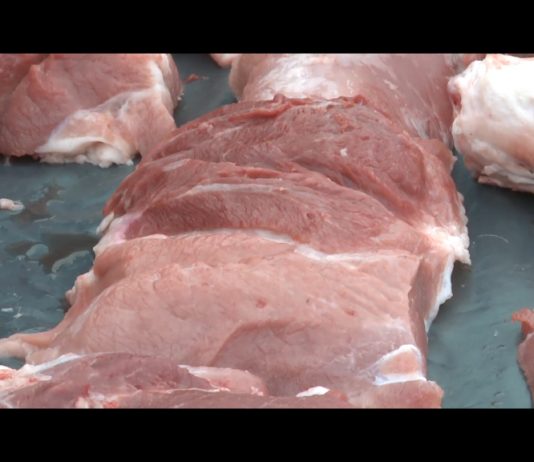 Bijeljina – Pregled svinjskog mesa na trihinelu