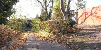 Vodovod i kanalizacija Zrenjanin – Počeli radovi kod podvožnjaka na Berberskom