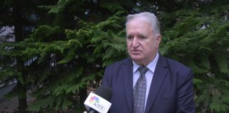 Srba Vasiljević o privatizaciji Železare Smederevo