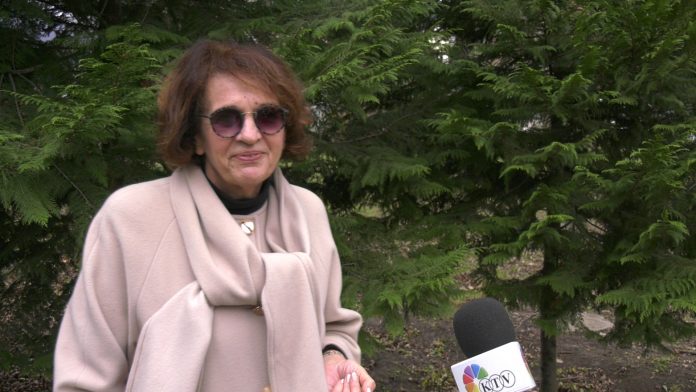 vesna rakic vodinelic