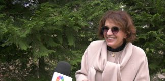 Vesna Rakić Vodinelić o održivosti trenutnog stanja u Srbiji