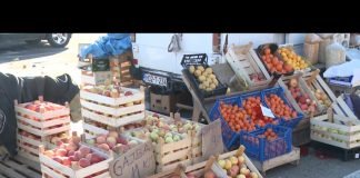 Bijeljina – Povrće gotovo niko ne kupuje