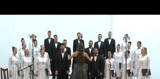 Bijeljina – Svetosavska akademija