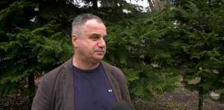Branislav Guta Grubački o stanju u kulturi