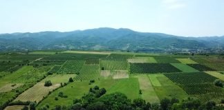 Katalozi proizvoda sa oznakama geografskog porekla i brošure o kvalitetu i organskoj proizvodnji