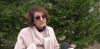 Vesna Rakić Vodinelić o promeni Ustava