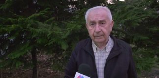 Jovan Pejin – Nijedan naš film nije pokazao genocid u Jasenovcu kao film „Dara iz Jasenovca“