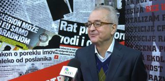 Siniša Ljepojević o odnosu Velike Britanije i Evropske unije