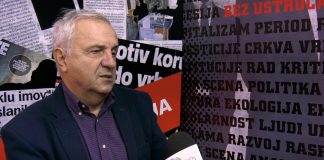 Slobodan Reljić – Susret Vučića i Makrona nije rezultirao nikakvim velikim dogovorima