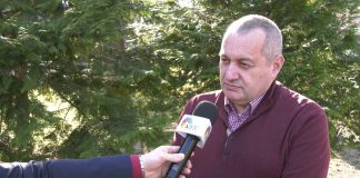 Srđan Milivojević – Smrt Đorđa Balaševića je nenadoknadiv gubitak