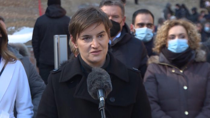 brnabic