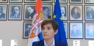 Brnabić na onlajn dijalogu sa članovima Nacionalnog konventa o Evropskoj uniji