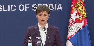 Sastanak Ane Brnabić i premijera Češke