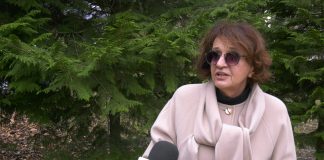 Vesna Rakić Vodinelić – Uzroci autokratizma u Srbiji su socijalni, politički i pravni