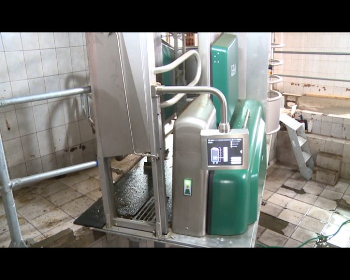 BIJELJINA robot za krave