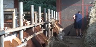 Pismo Agrarne komore poljoprivrednih proizvođača ministru Nedimoviću