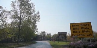 Belo Blato – Mladi zasadili 200 sadnica topole